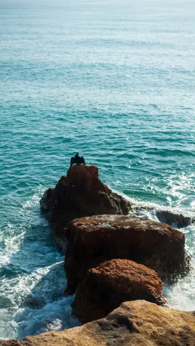 礁石与大海-拍信图库 - Screenshot 1