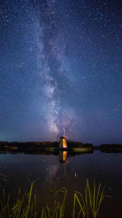 今夜请将我遗忘