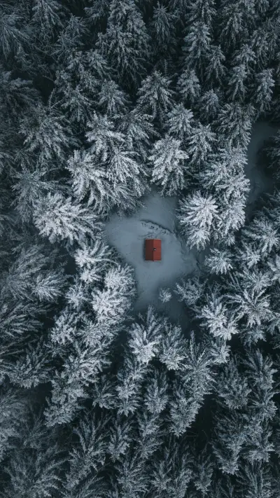 有一种美叫自然