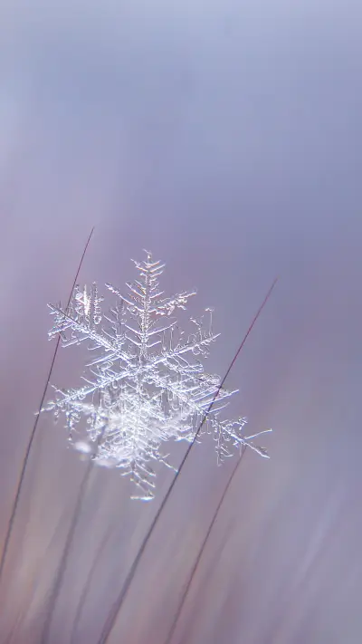 北国风光-拍信图库