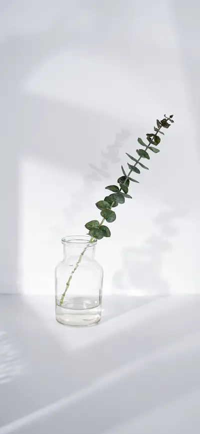 创意壁纸-锐景创意