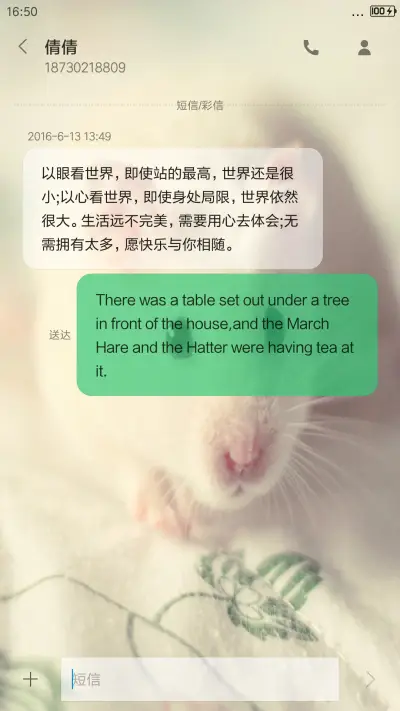 鼠你精彩 - Screenshot 8