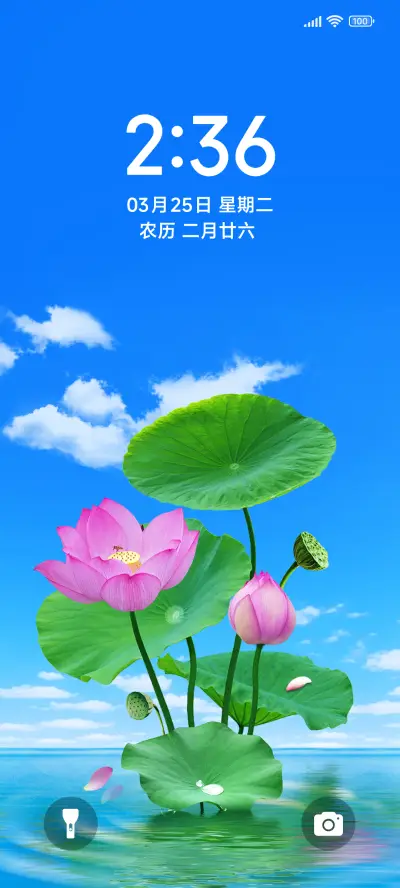 护眼小清新荷花