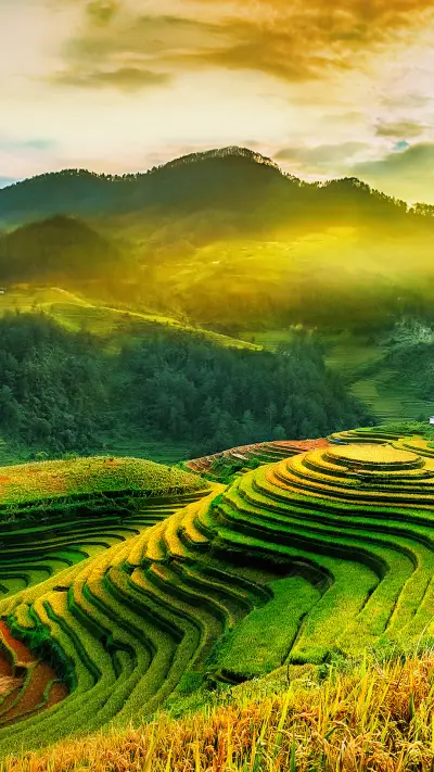 风吹麦浪芒种时 - Screenshot 1