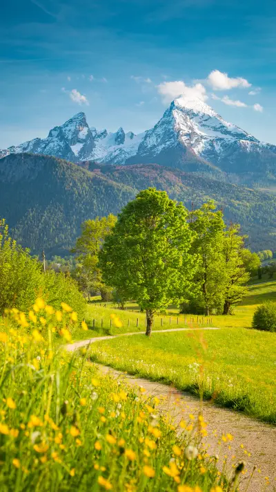 绿色草原-拍信图库