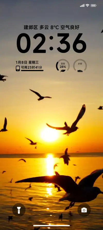 Ins简约海鸥 THEME for Xiaomi MIUI HyperOS